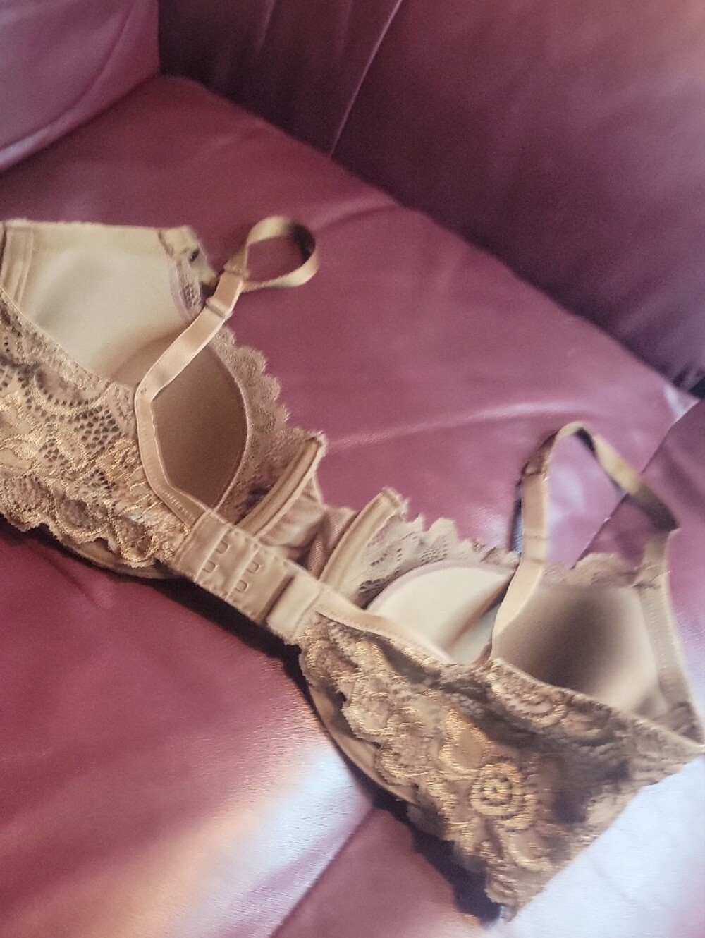 Gilligan & O'Malley Brown Lace Push-Up Bra and Lace Bikini Set - Picture 5 of 7